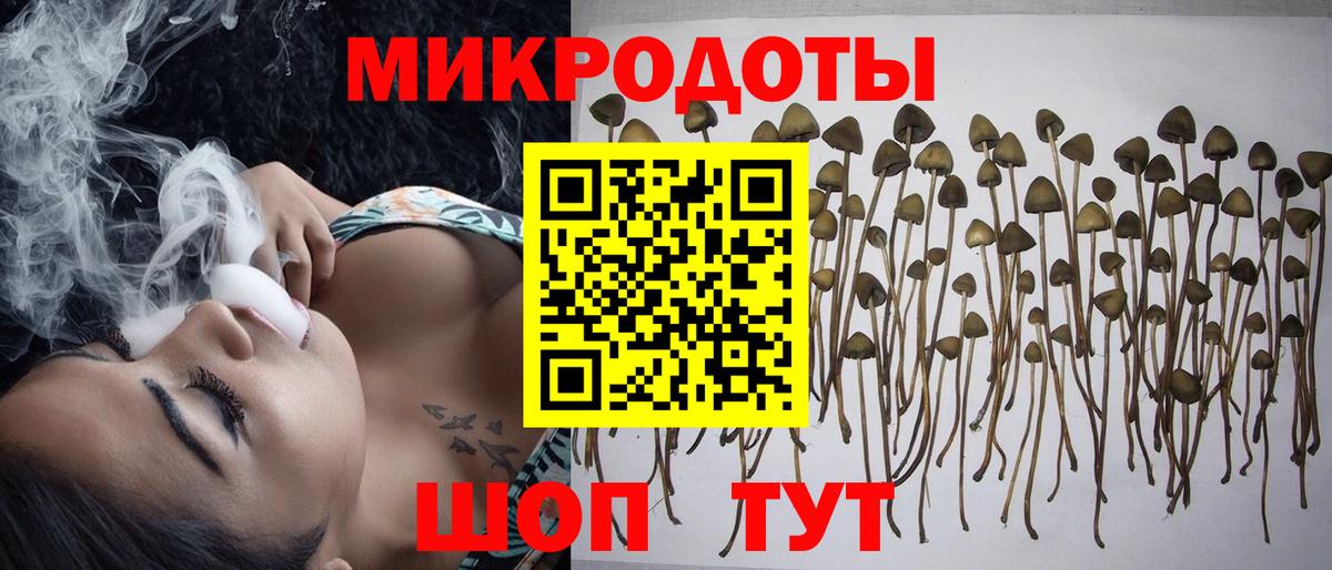закладки  Вход с VPN  Клинцы  Галлюциногенные грибы мицелий 