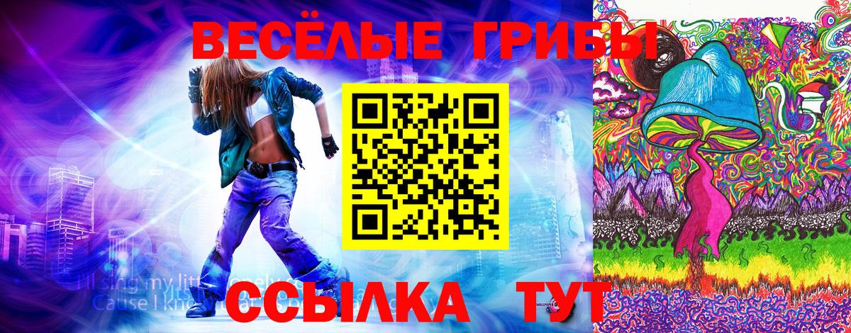 Псилоцибиновые грибы ЛСД Клинцы