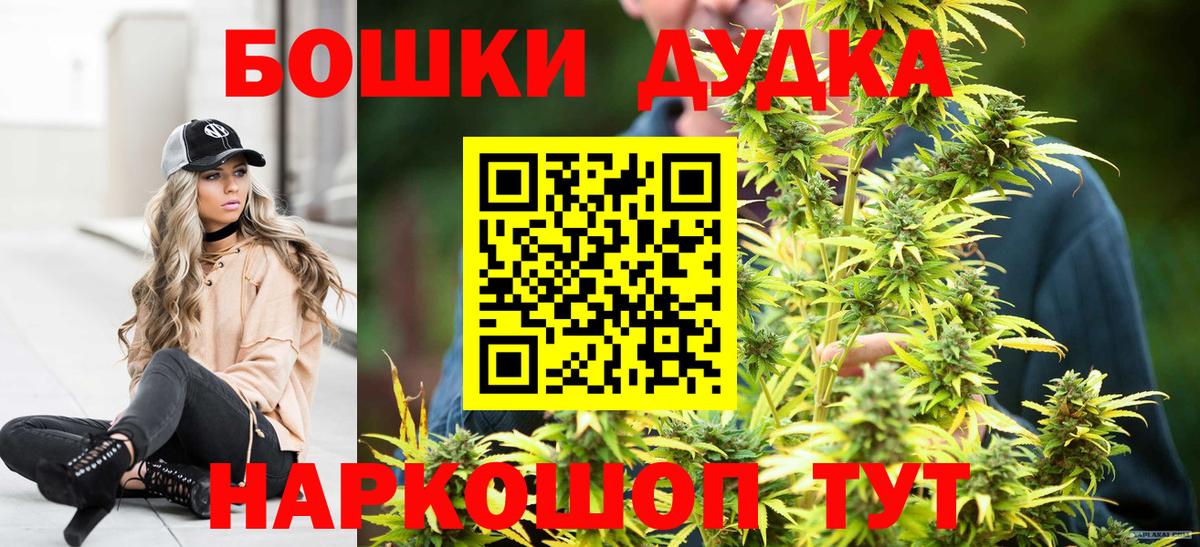 Бошки Шишки план Клинцы